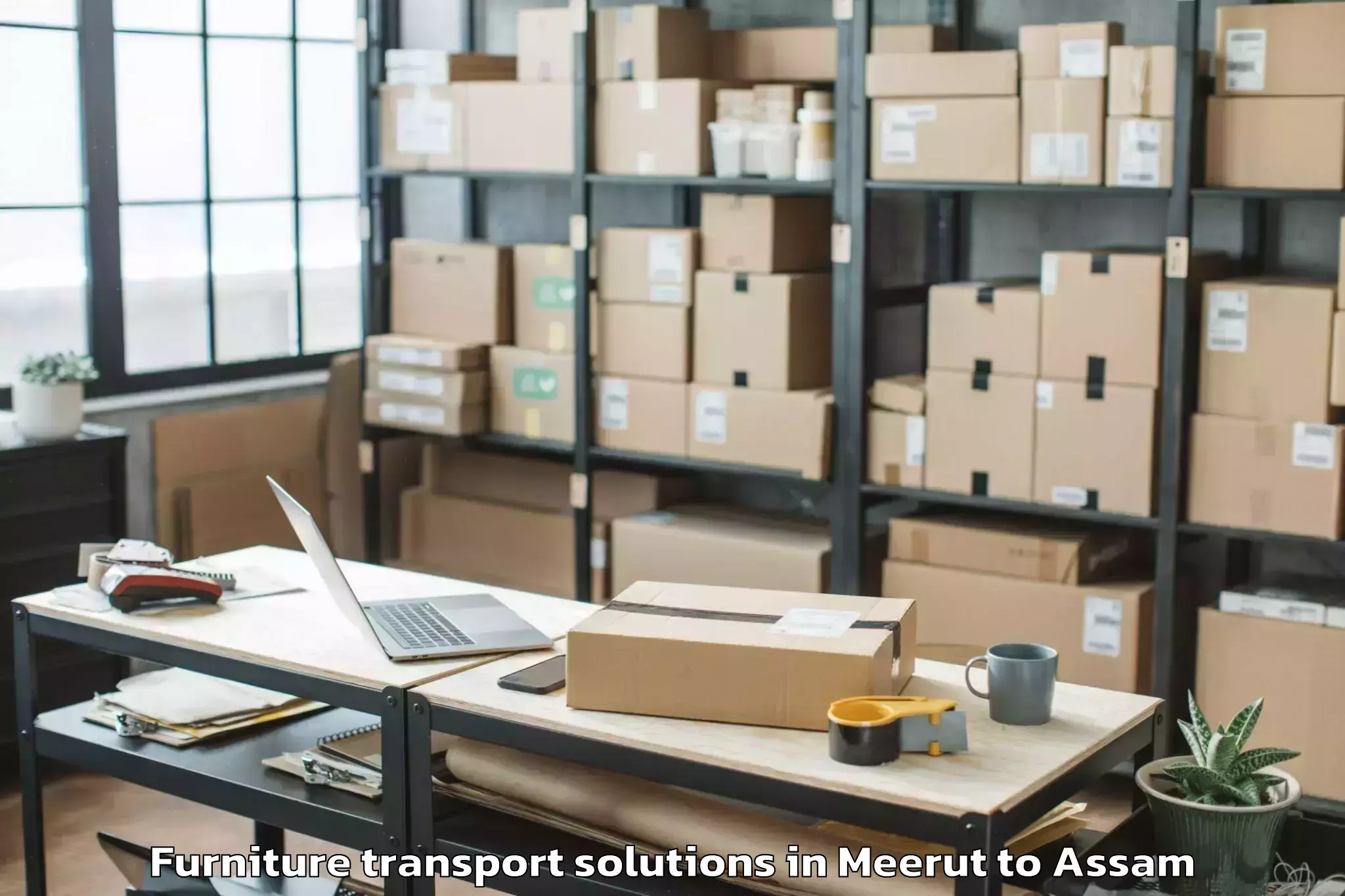 Affordable Meerut to Nowgong Furniture Transport Solutions